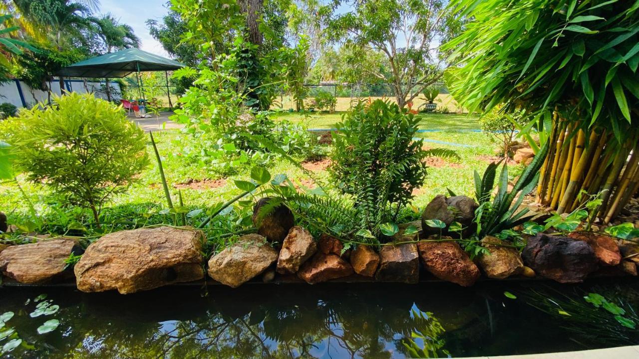 Owin Rose Yala Safari Hotel Tissamaharama Ngoại thất bức ảnh