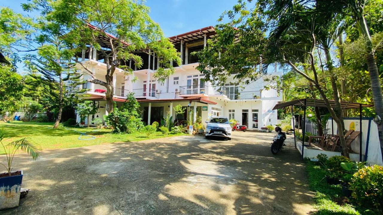 Owin Rose Yala Safari Hotel Tissamaharama Ngoại thất bức ảnh